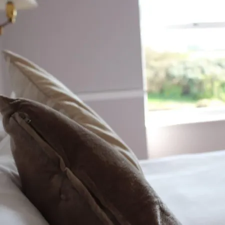 Housel Bay Otel Lizard