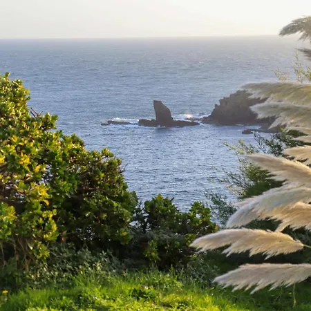 Otel Housel Bay Lizard