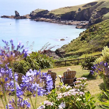 Otel Housel Bay Lizard